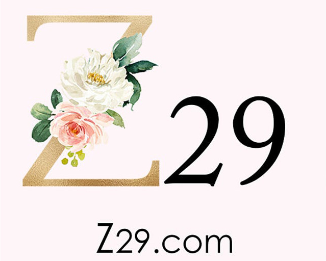 Z29 Studio